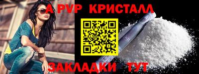 ешки Кингисепп