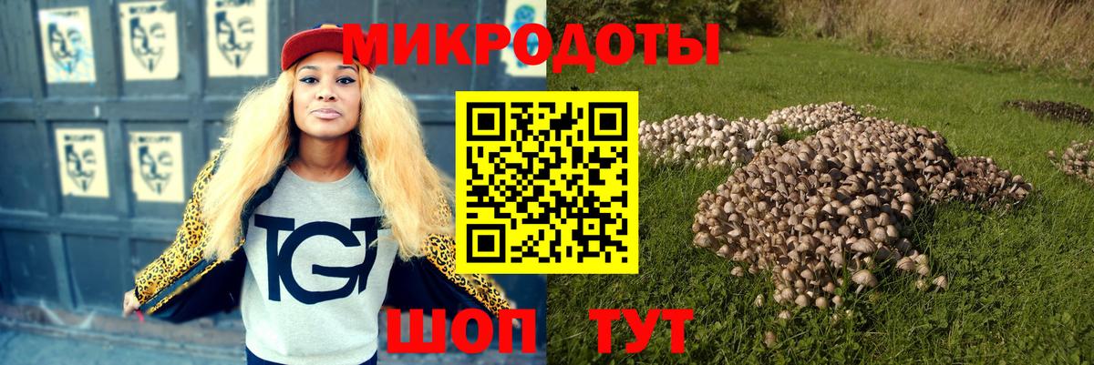наркотики  Псилоцибиновые грибы Cubensis  Вход с VPN  Камень-на-Оби 