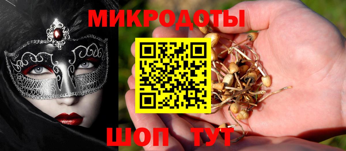 Галлюциногенные грибы MAGIC MUSHROOMS Камень-на-Оби